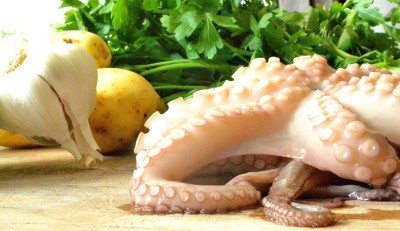 Frisk ottearmet blæksprutte